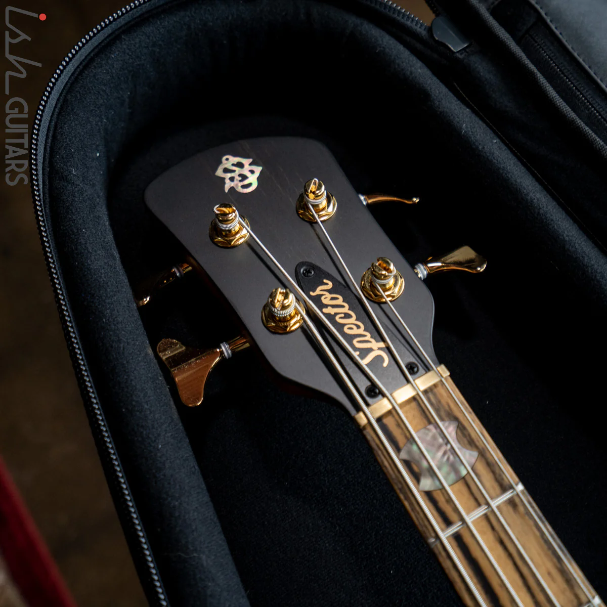 Spector Custom NS-2X Ziricote - Image 16