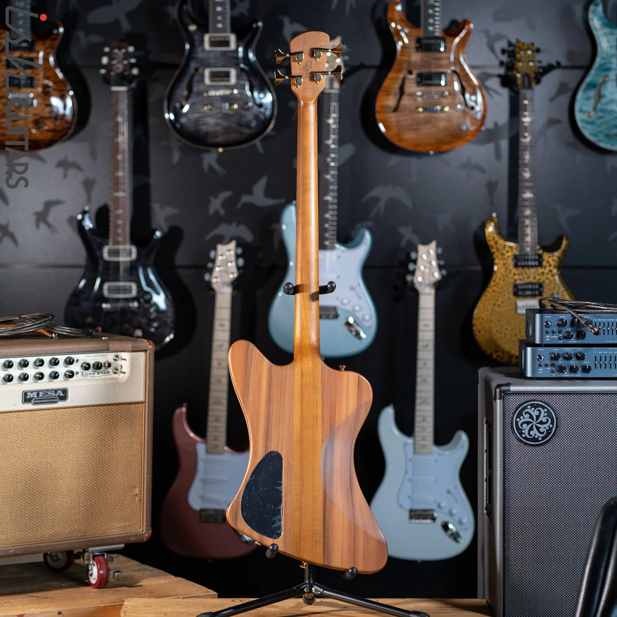 Spector Custom NS-2X Ziricote - Image 9