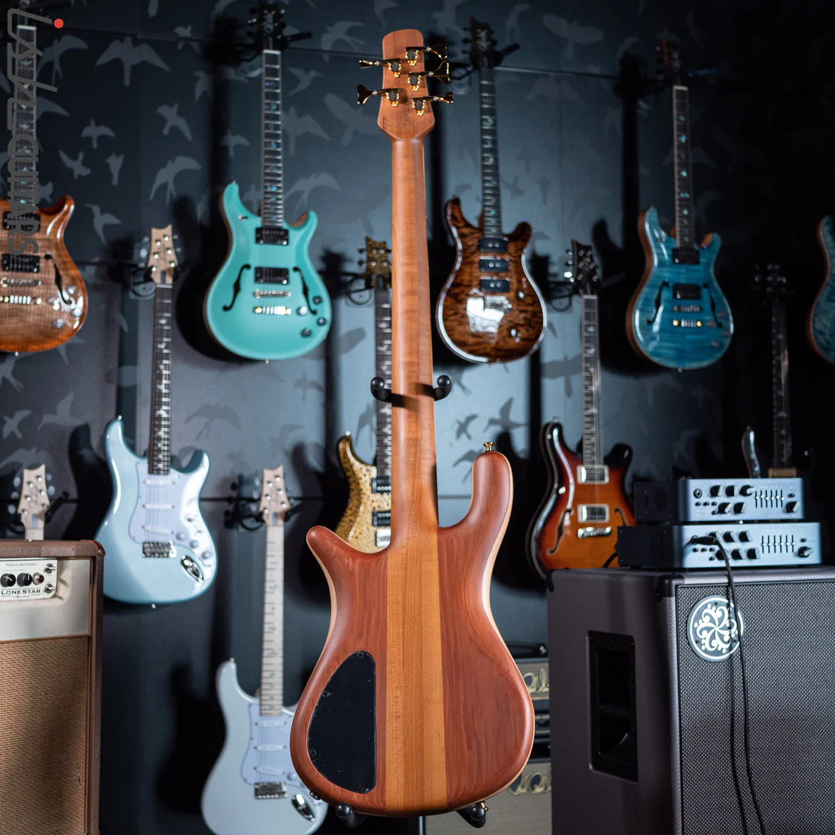 Spector Custom NS-5 Ziricote - Image 10