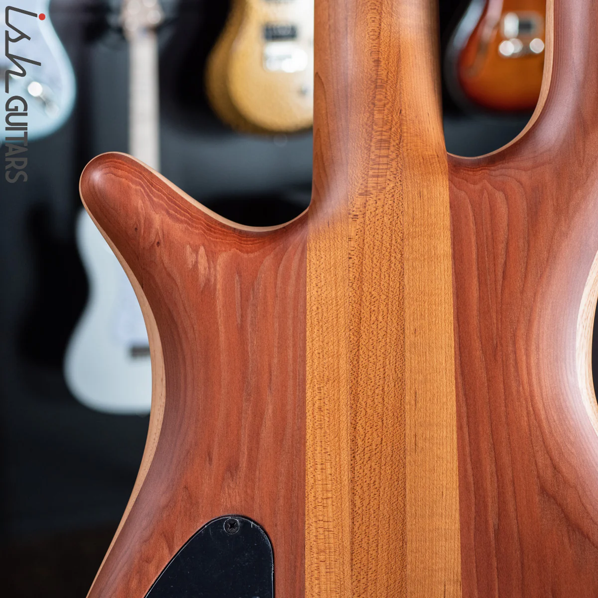 Spector Custom NS-5 Ziricote - Image 12
