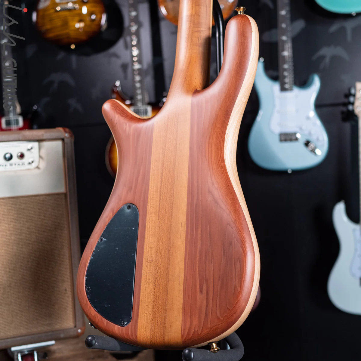Spector Custom NS-5 Ziricote - Image 14