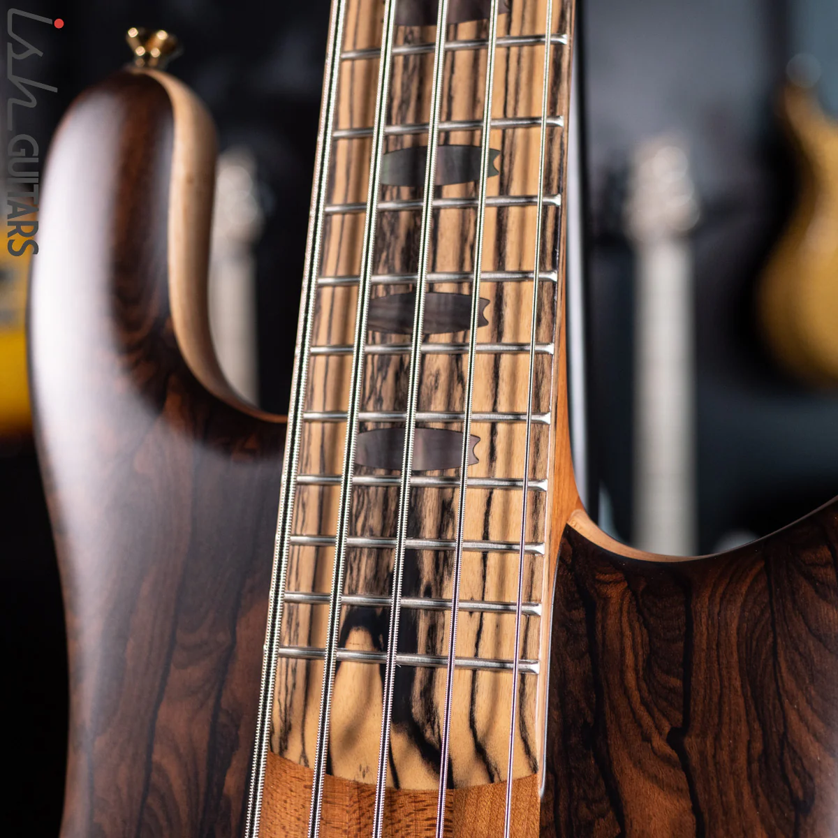 Spector Custom NS-5 Ziricote - Image 5
