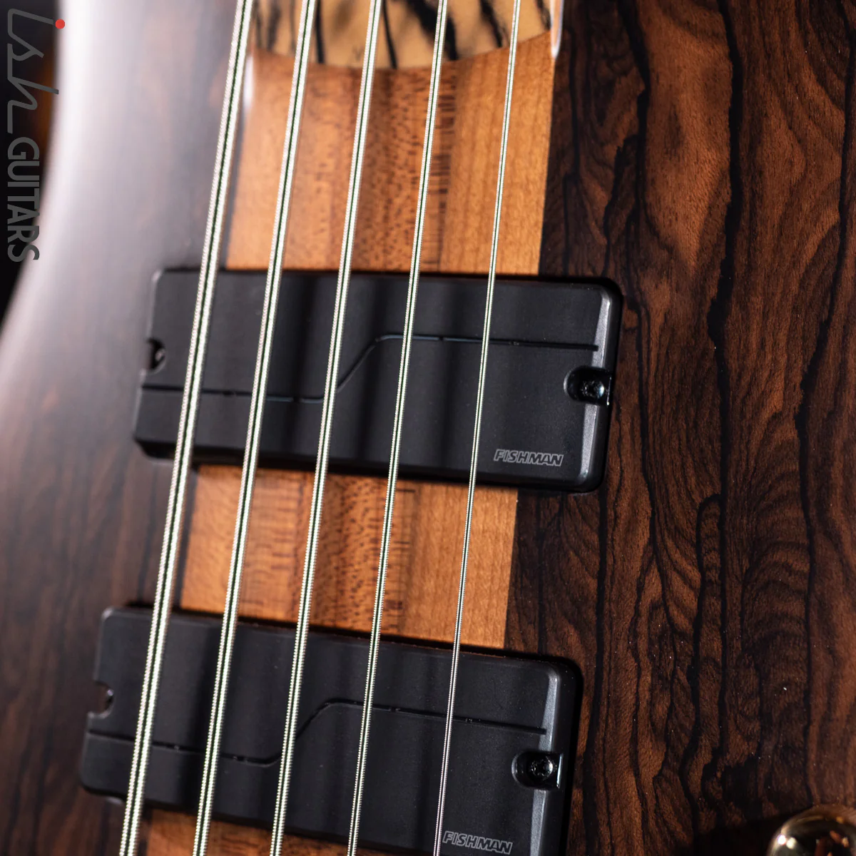 Spector Custom NS-5 Ziricote - Image 6