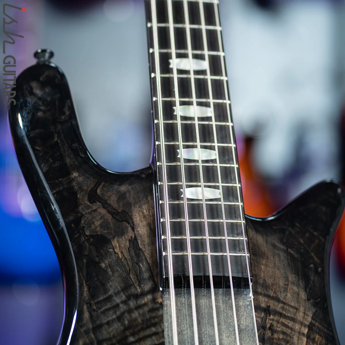 Spector Euro 5 LT Fishman Limited Edition Faded Black - Image 5