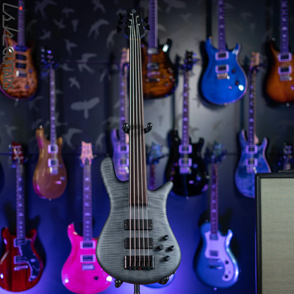Spector Euro5 LX Fretless Trans Black Stain Matte - Image 2