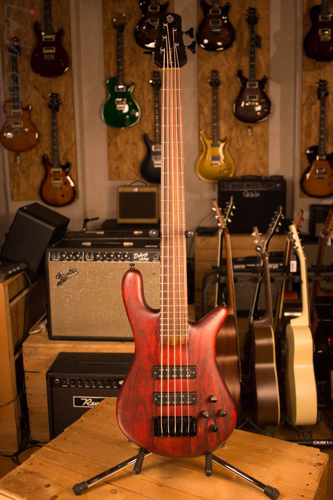 Spector Forte 5 Black Cherry Aguilar Super Double - Image 2