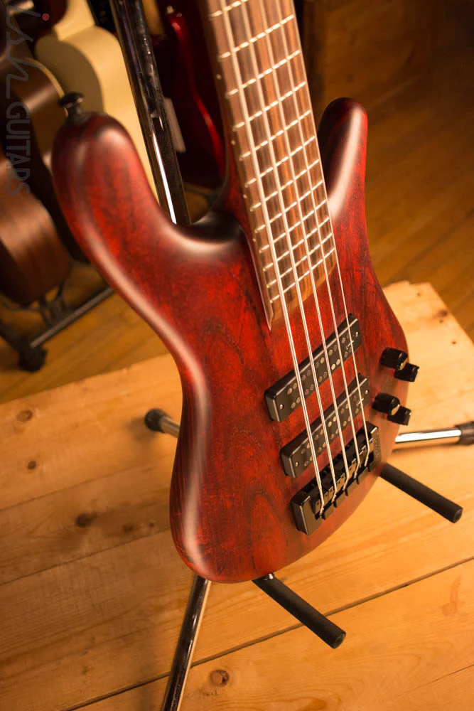 Spector Forte 5 Black Cherry Aguilar Super Double - Image 6