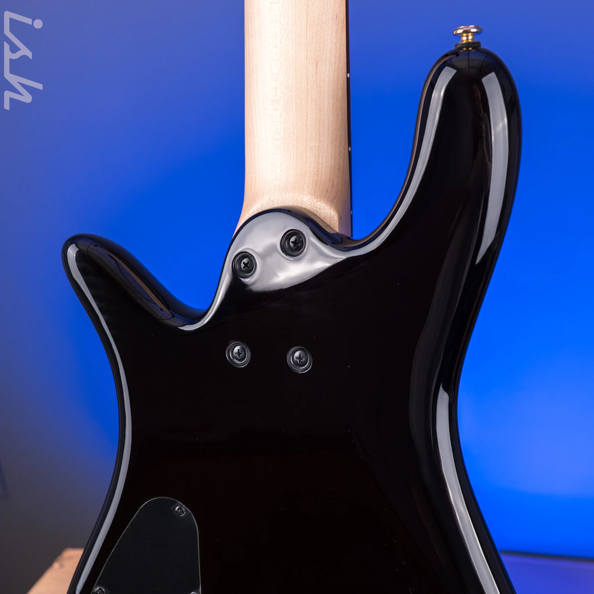 Spector ICON NS-5 Bolt-On Black Cherry Gloss - Image 9
