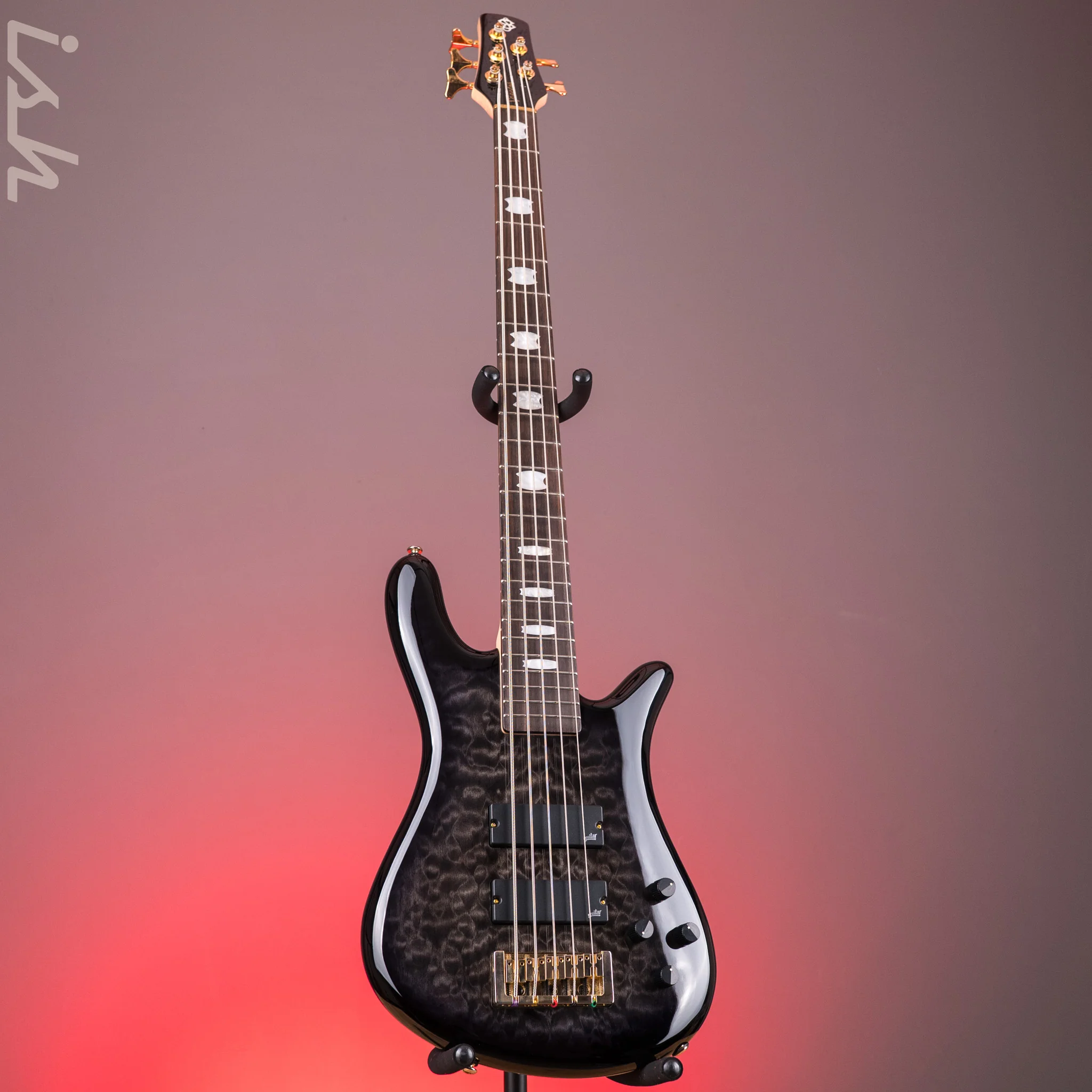Spector ICON NS-5 Bolt-On Black Stain Gloss - Image 2