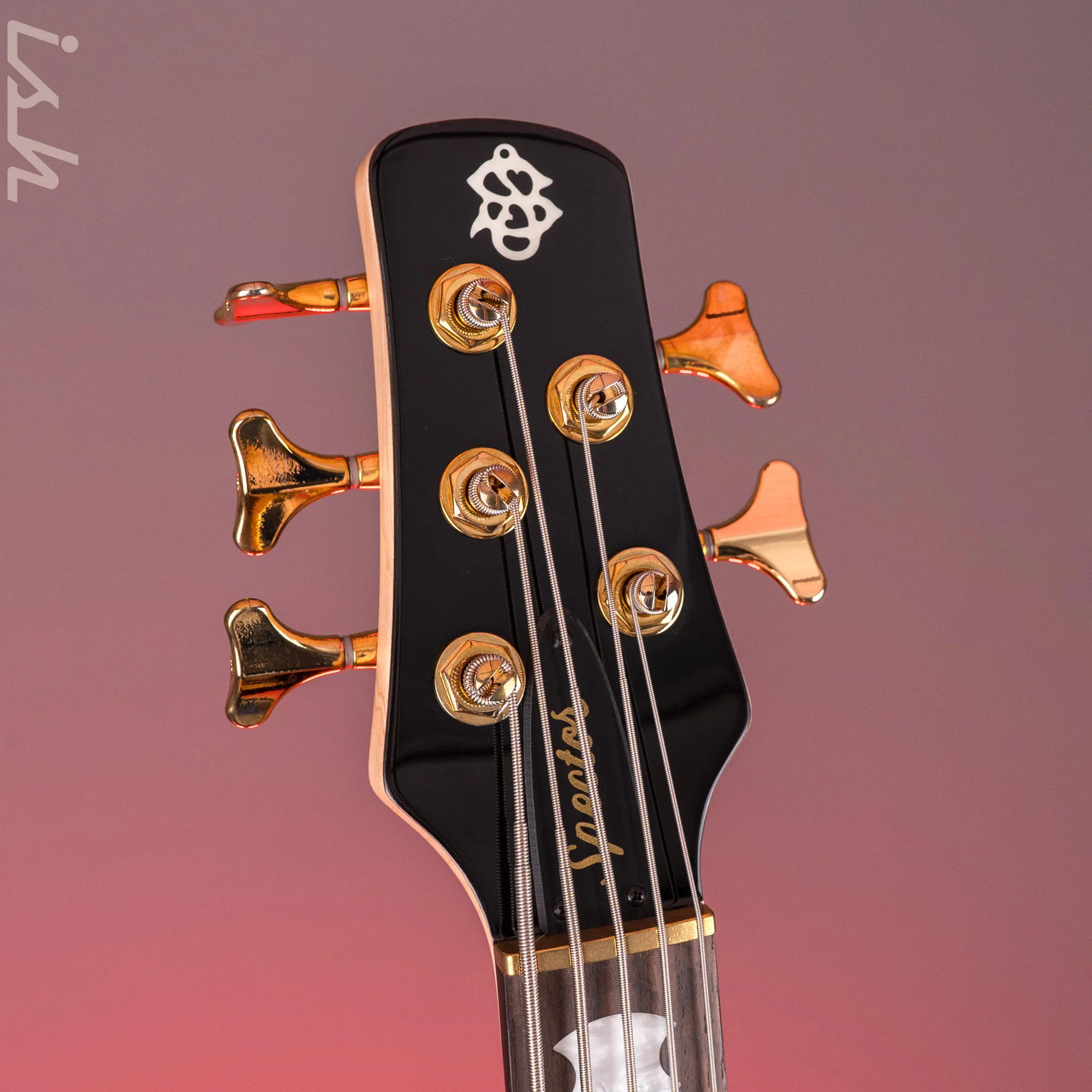Spector ICON NS-5 Bolt-On Black Stain Gloss - Image 6