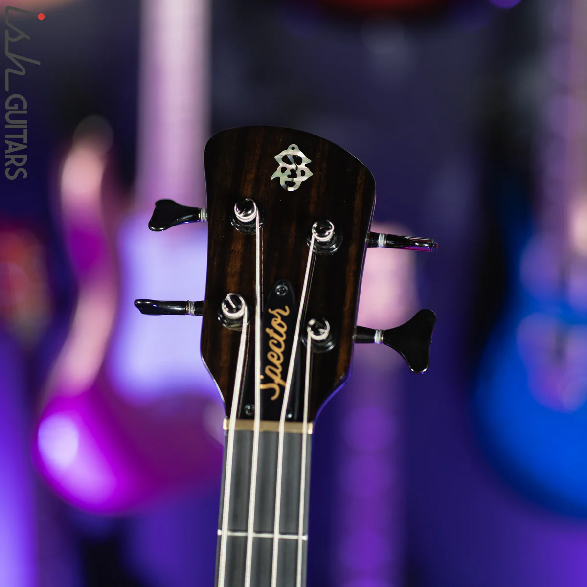 Spector NS-2 4-String Bass USA Passive Walnut Black Stain - Image 6