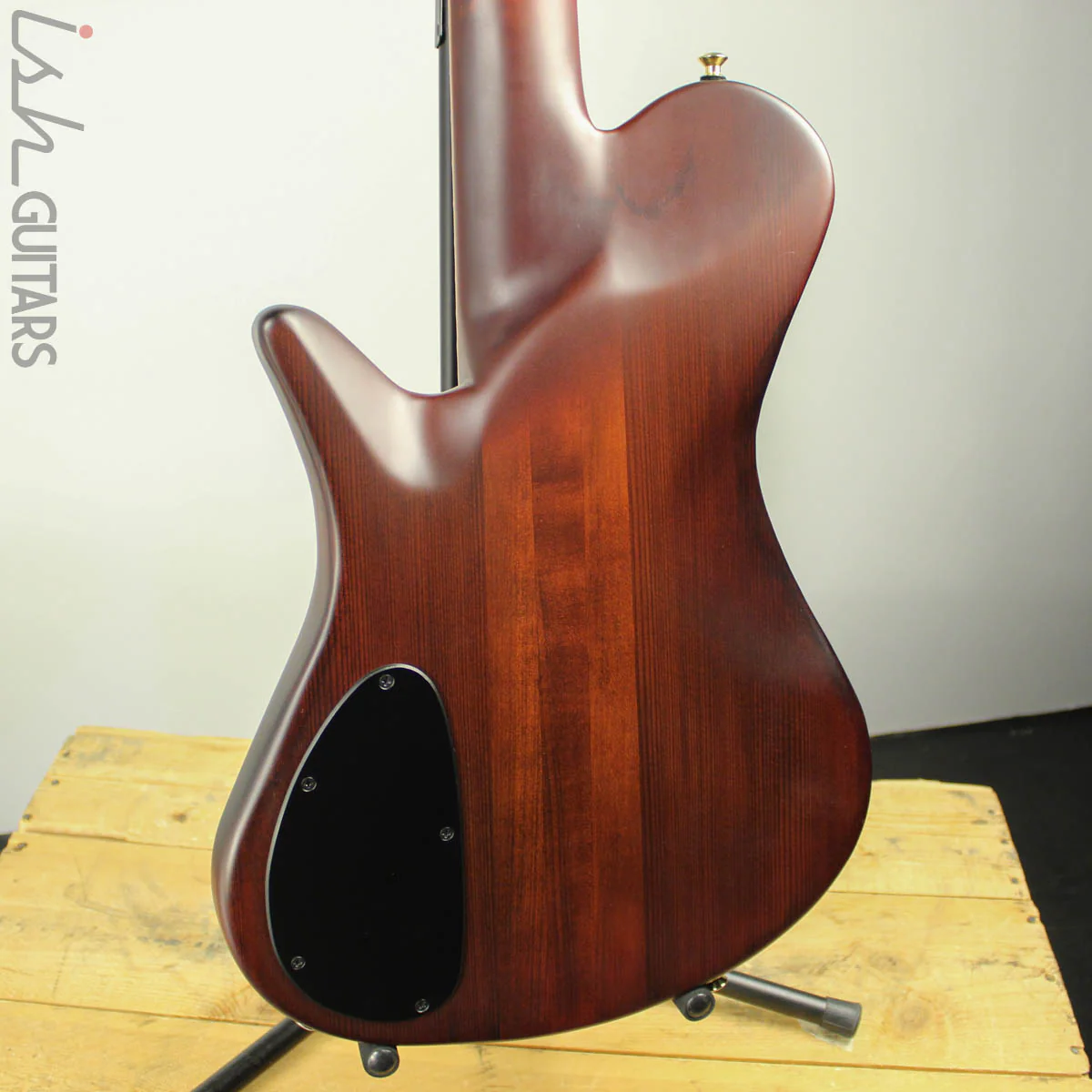 Spector Singlecut SC5 NS-5 Bass Ultra Amber Burst Matte Flame Maple - Image 10