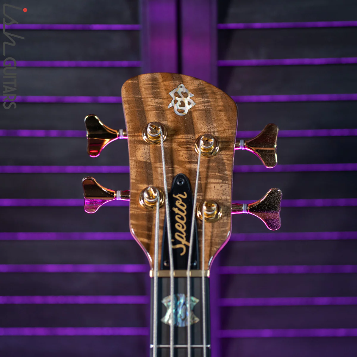 Spector USA NS-2 Bass Bastogne Walnut Natural - Image 7