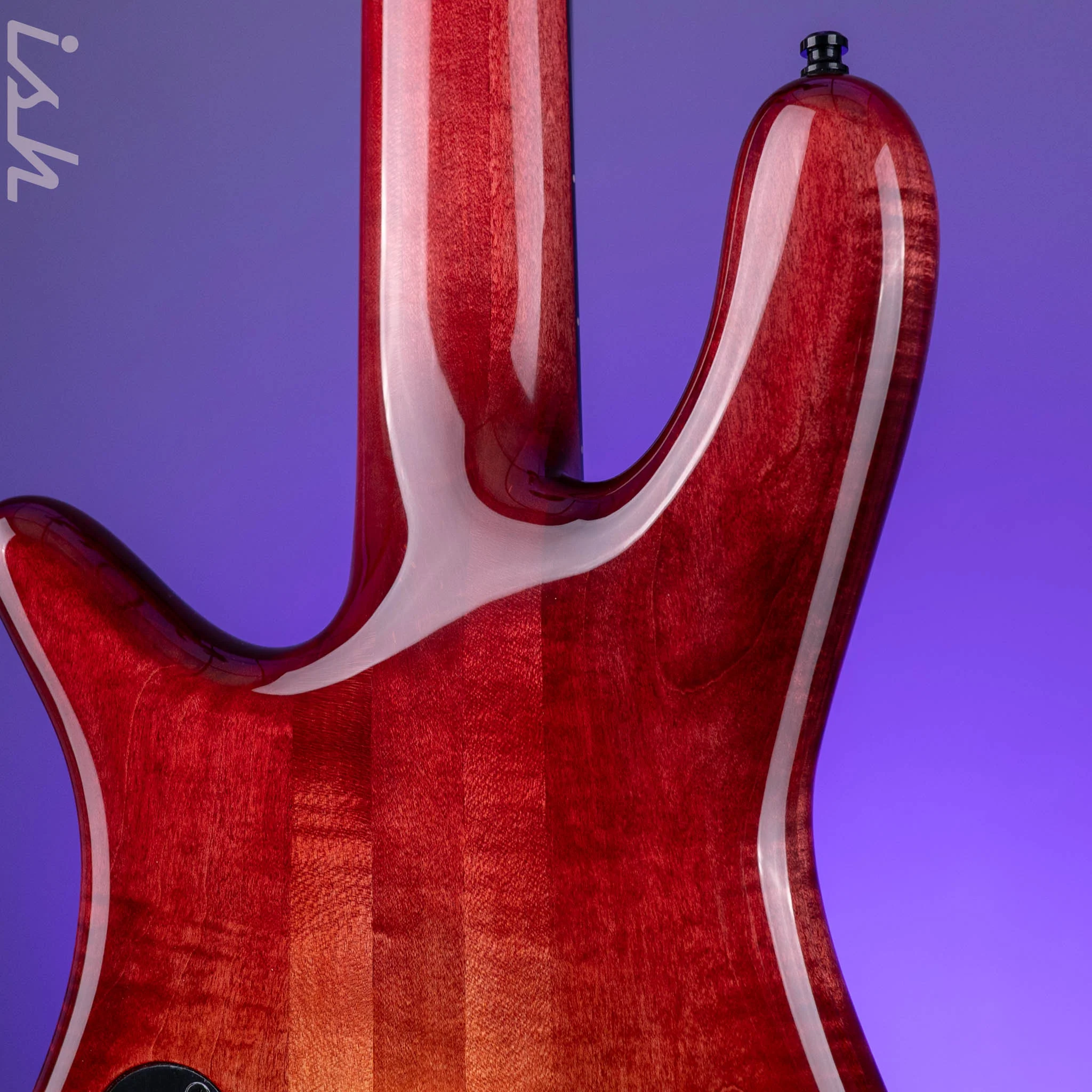 Spector USA NS-5 Fire Fade - Image 10
