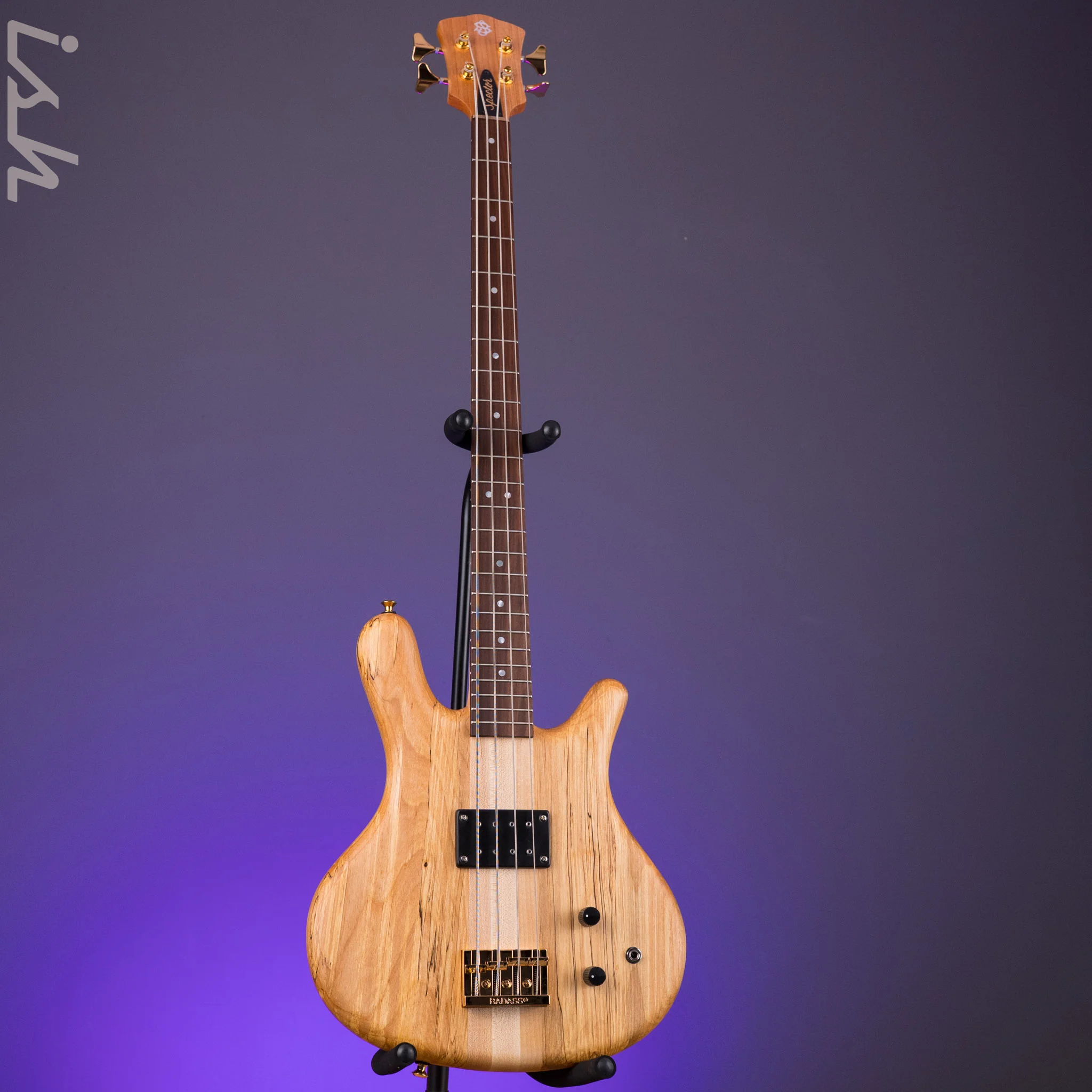 Spector USA SB-1 Reissue Limited Edition Rainbow Alder - Image 2