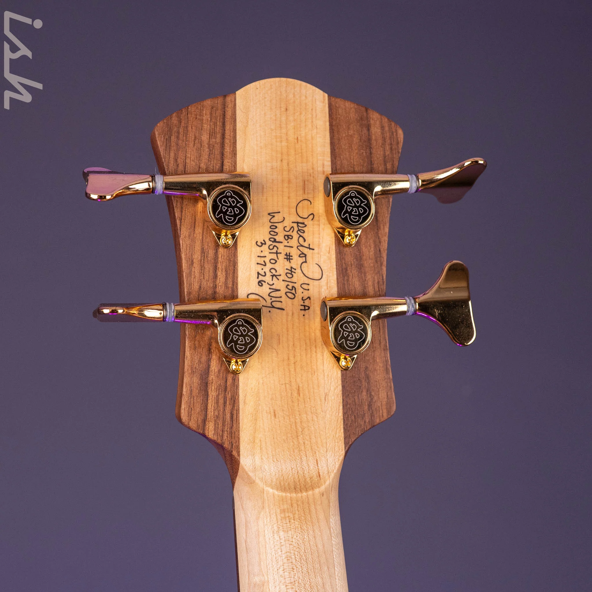 Spector USA SB-1 Reissue Limited Edition Walnut - Image 12