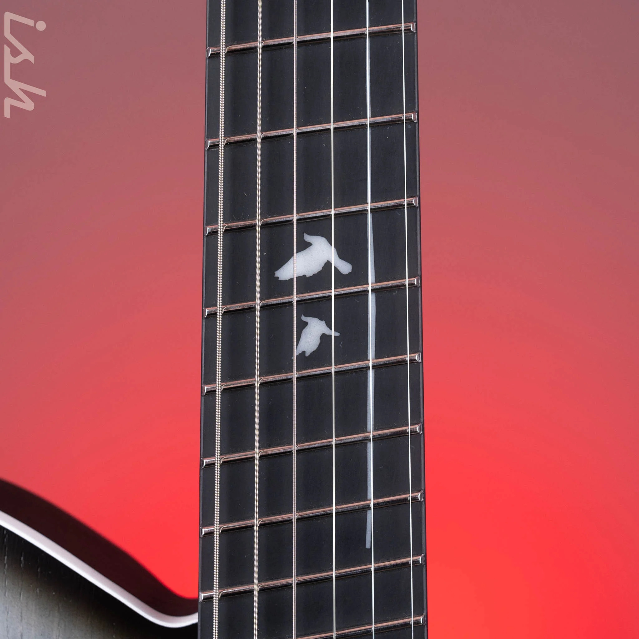 Strandberg Sälen APS Monochrom Limited Edition - Image 6