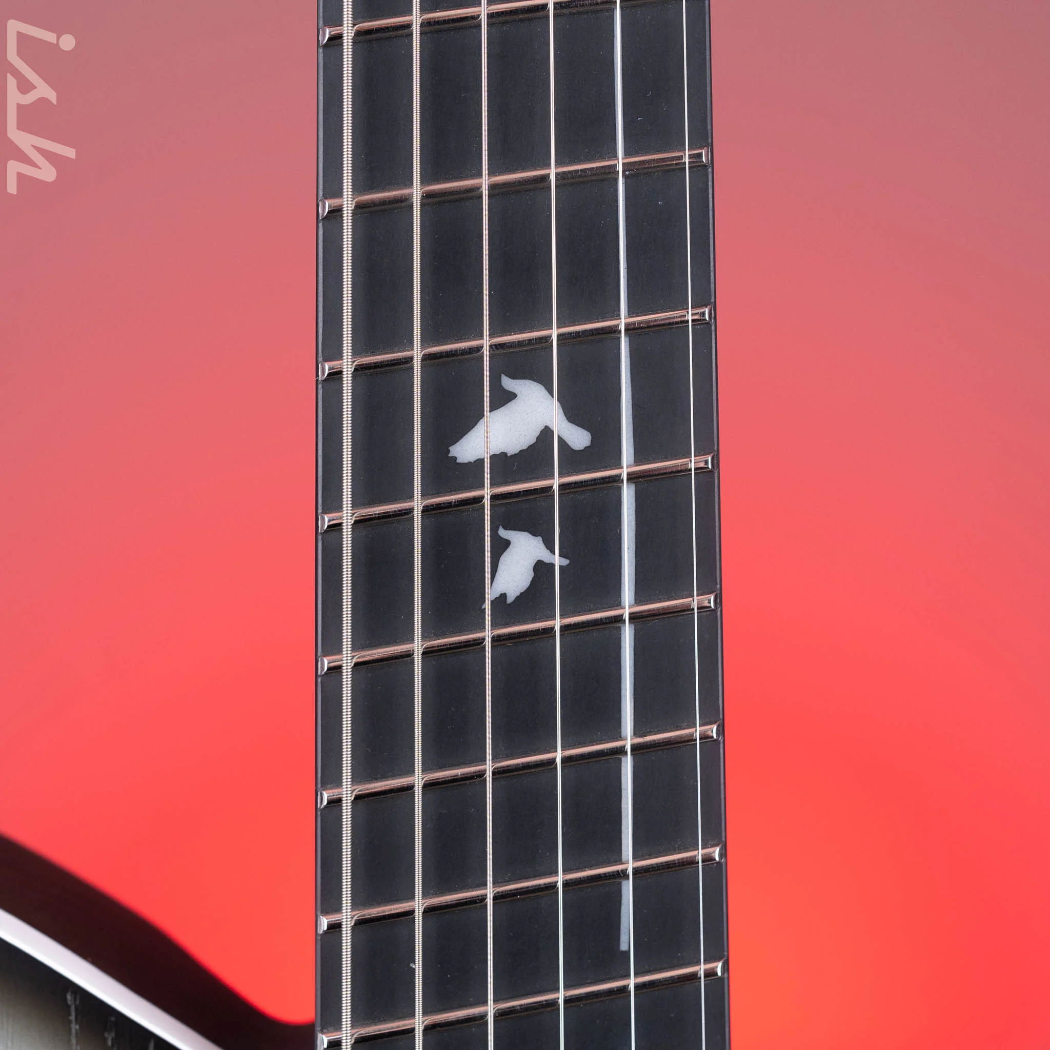 Strandberg Sälen APS Monochrom Limited Edition - Image 6