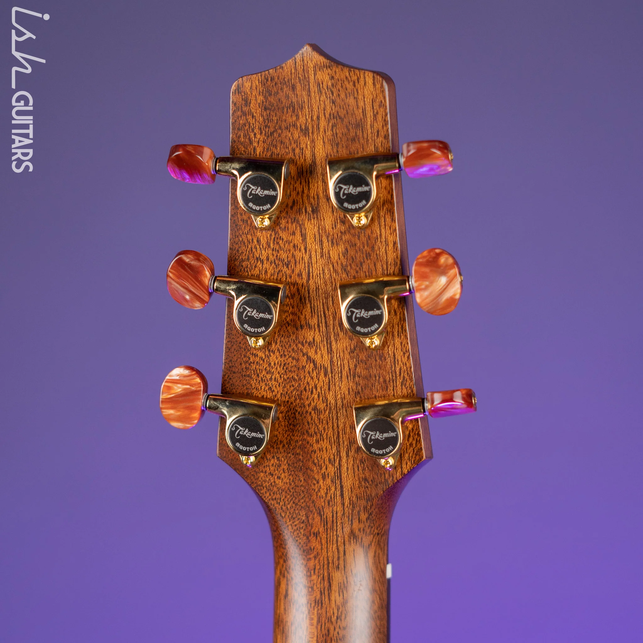 Takamine GB7C Garth Brooks Signature Series Natural Satin - Image 10