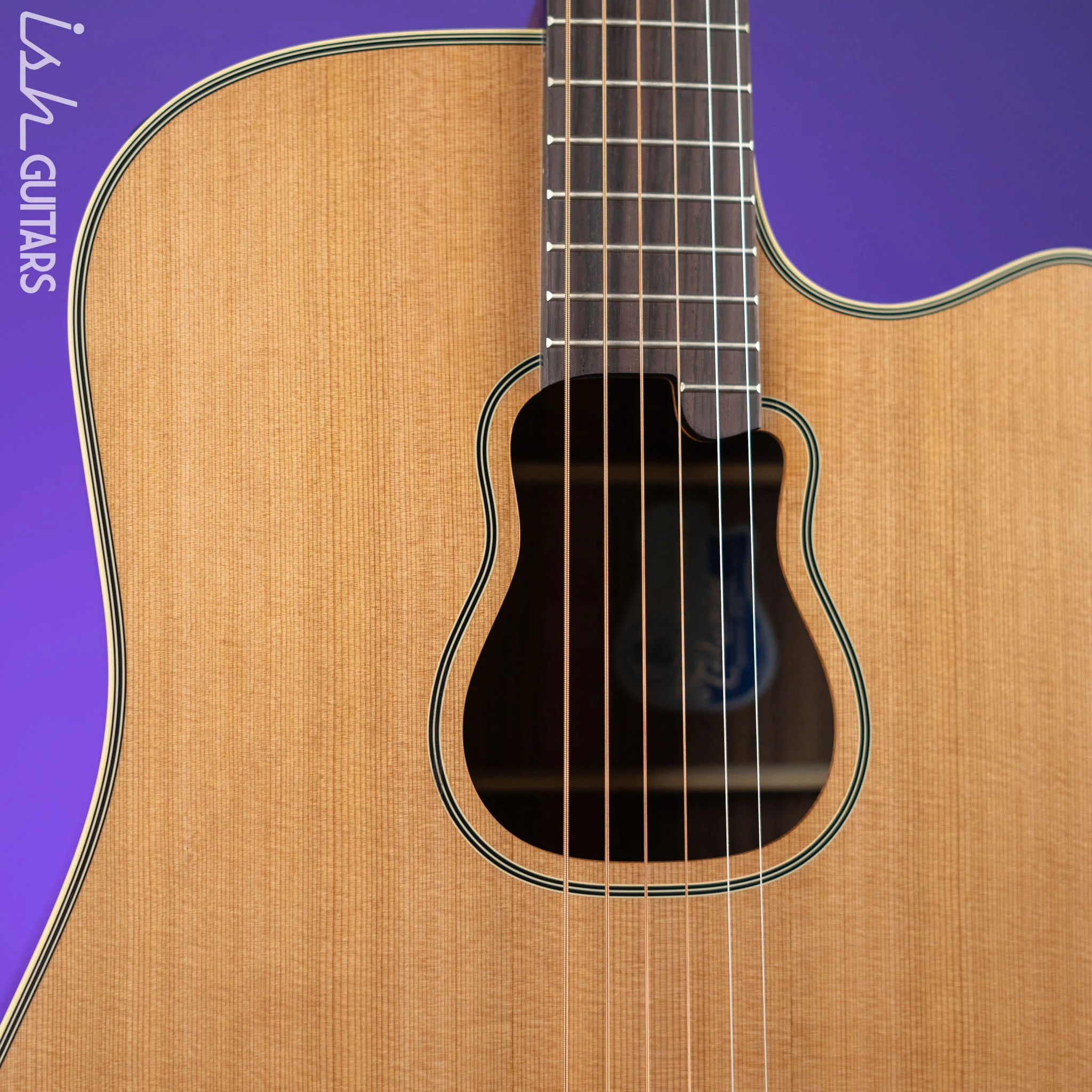 Takamine GB7C Garth Brooks Signature Series Natural Satin - Image 3