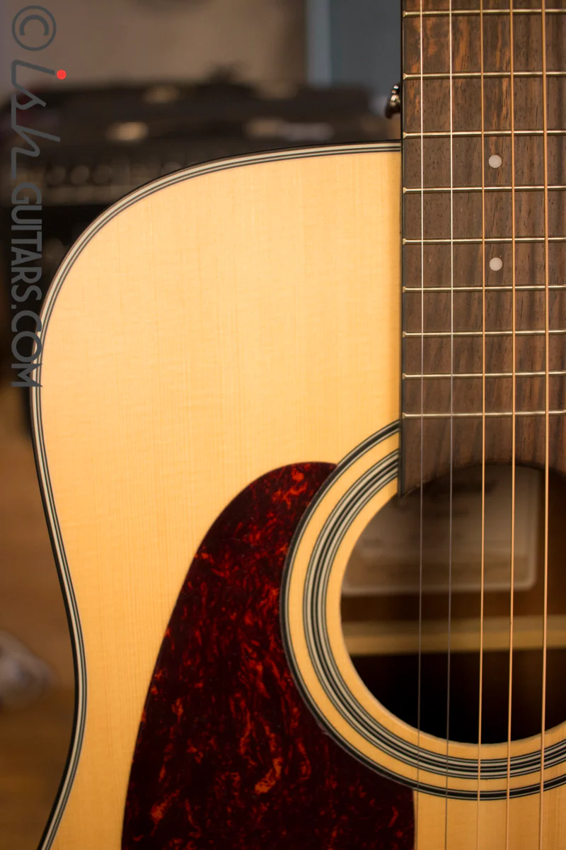 Takamine GD10 LH Left Handed - Image 3