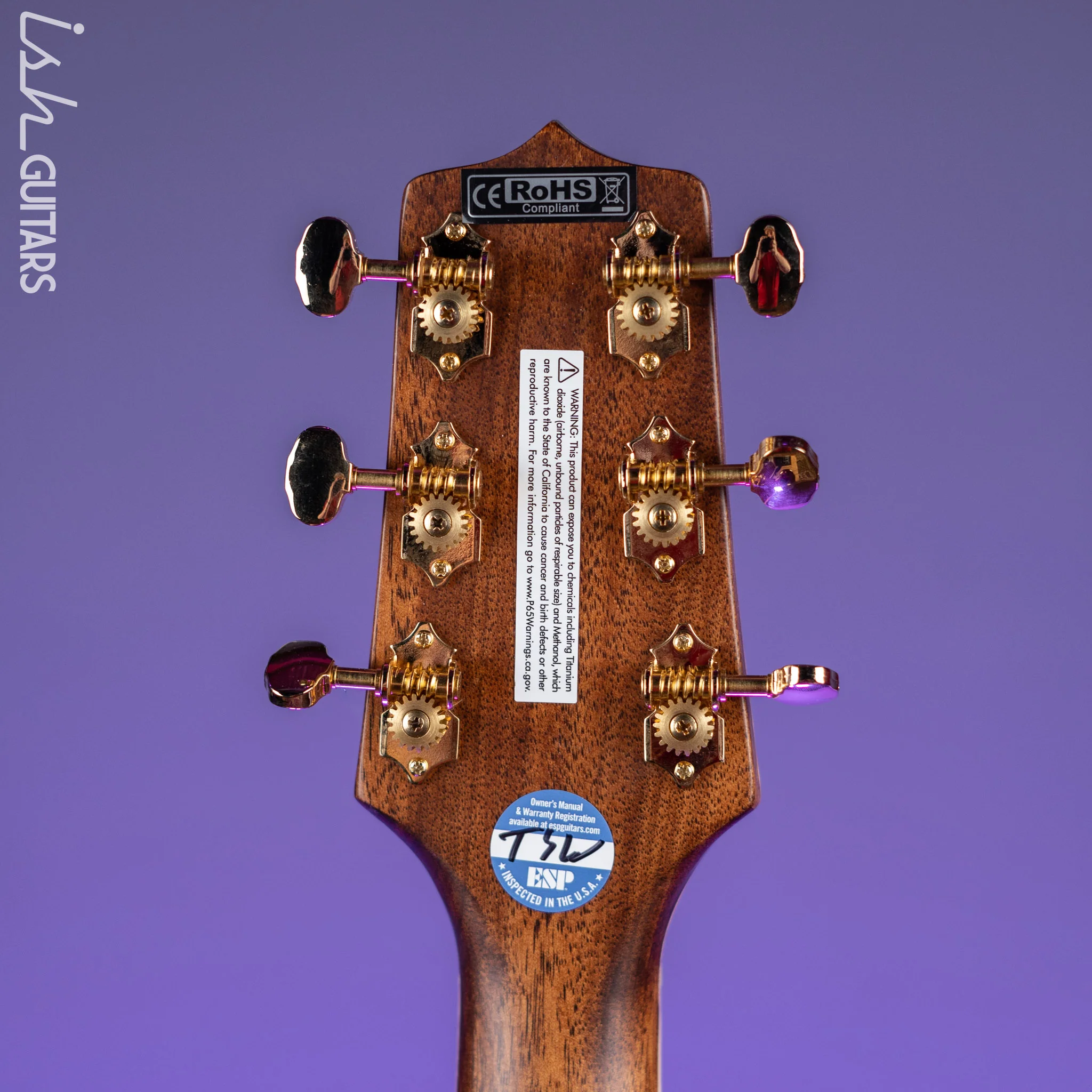 Takamine GD90CE-ZC Dreadnought Acoustic-Electric Guitar Ziricote Natural Demo - Image 11