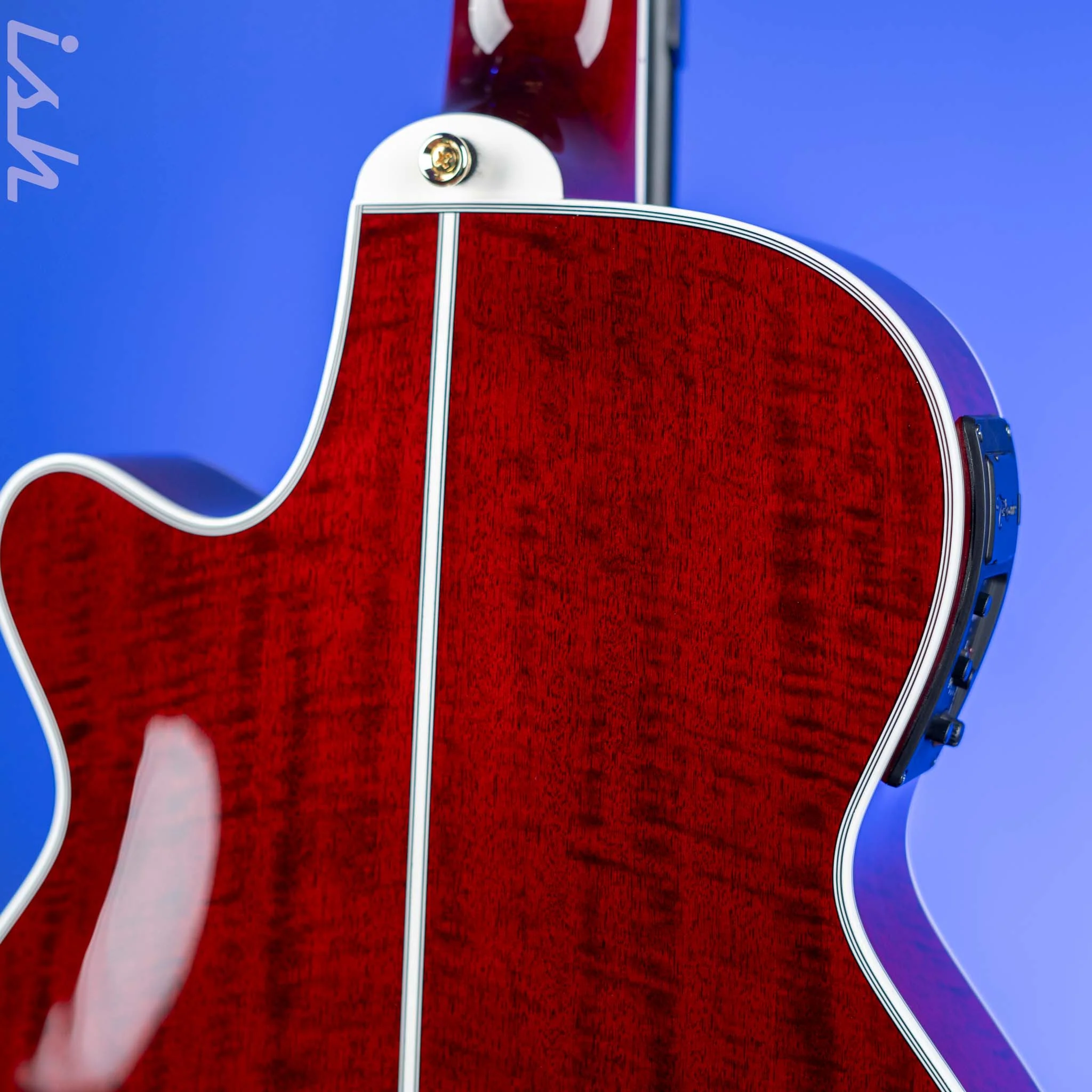 Takamine Thinline TSP158C-12 12-String Acoustic-Electric Guitar See-Through Red Demo - Image 8