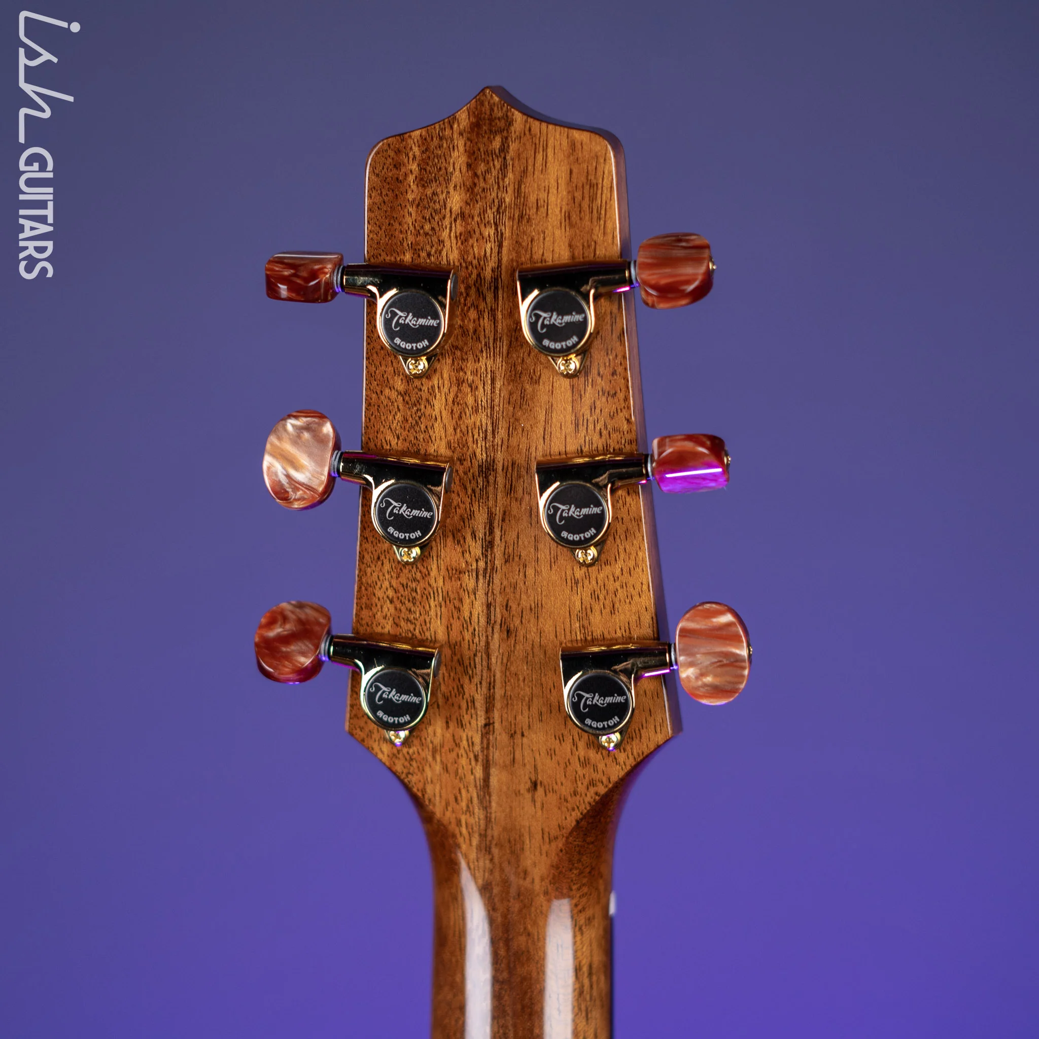 Takamine TSF48C Santa Fe NEX Acoustic-Electric Guitar Natural - Image 12