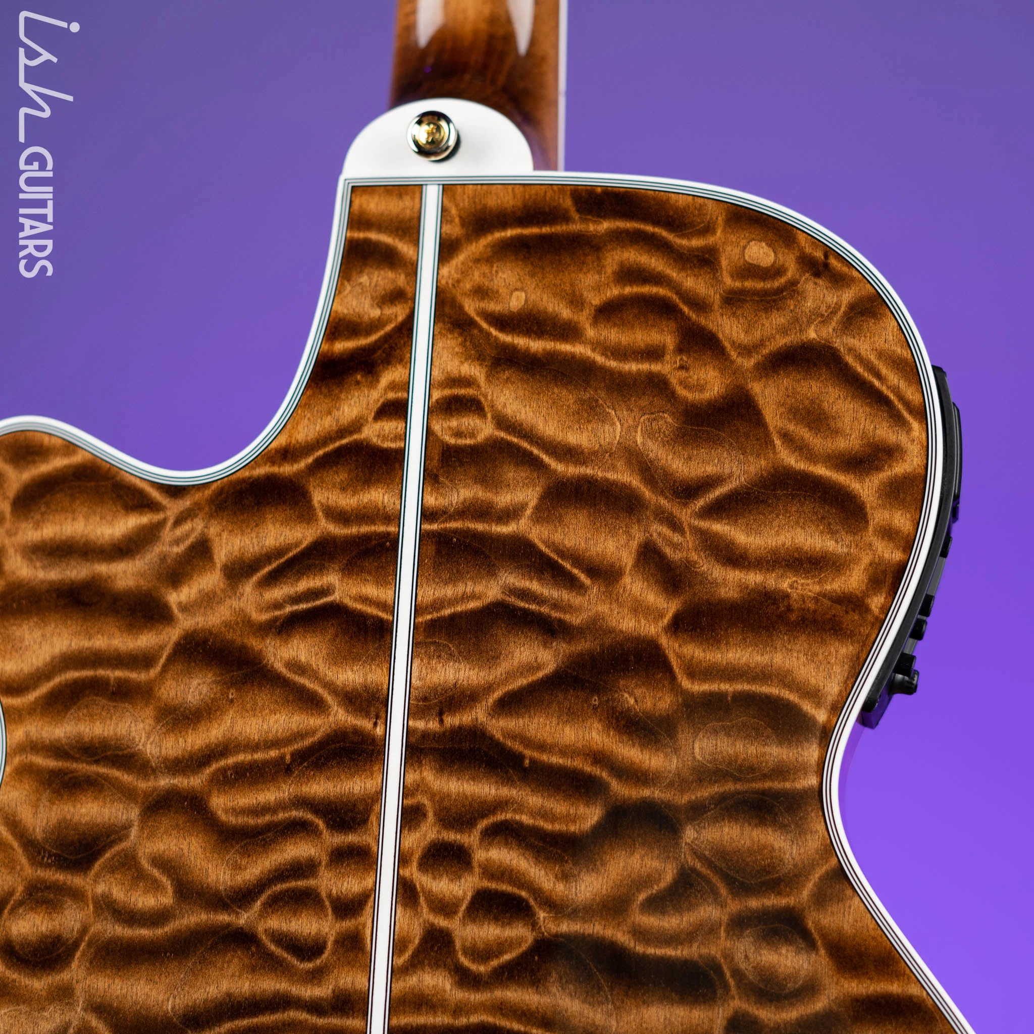 Takamine TSP100 Acoustic-Electric Guitar Gloss Vintage Tobacco - Image 8