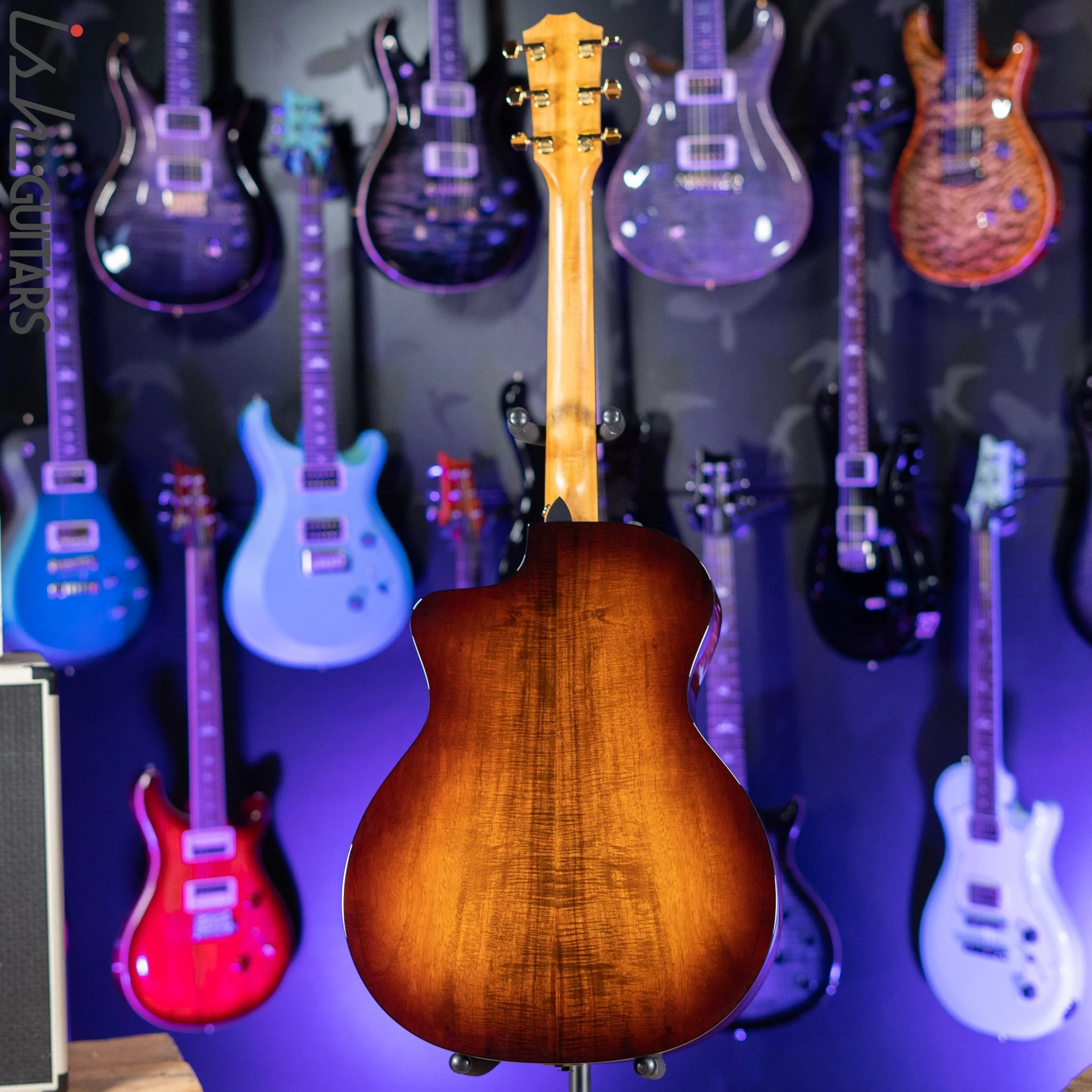 Taylor 224ce-K DXL Shaded Edge Burst - Image 6