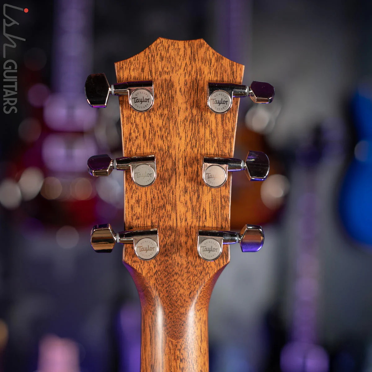 2021 Taylor 514ce Grand Auditorium Acoustic Guitar Natural Cedar - Image 12
