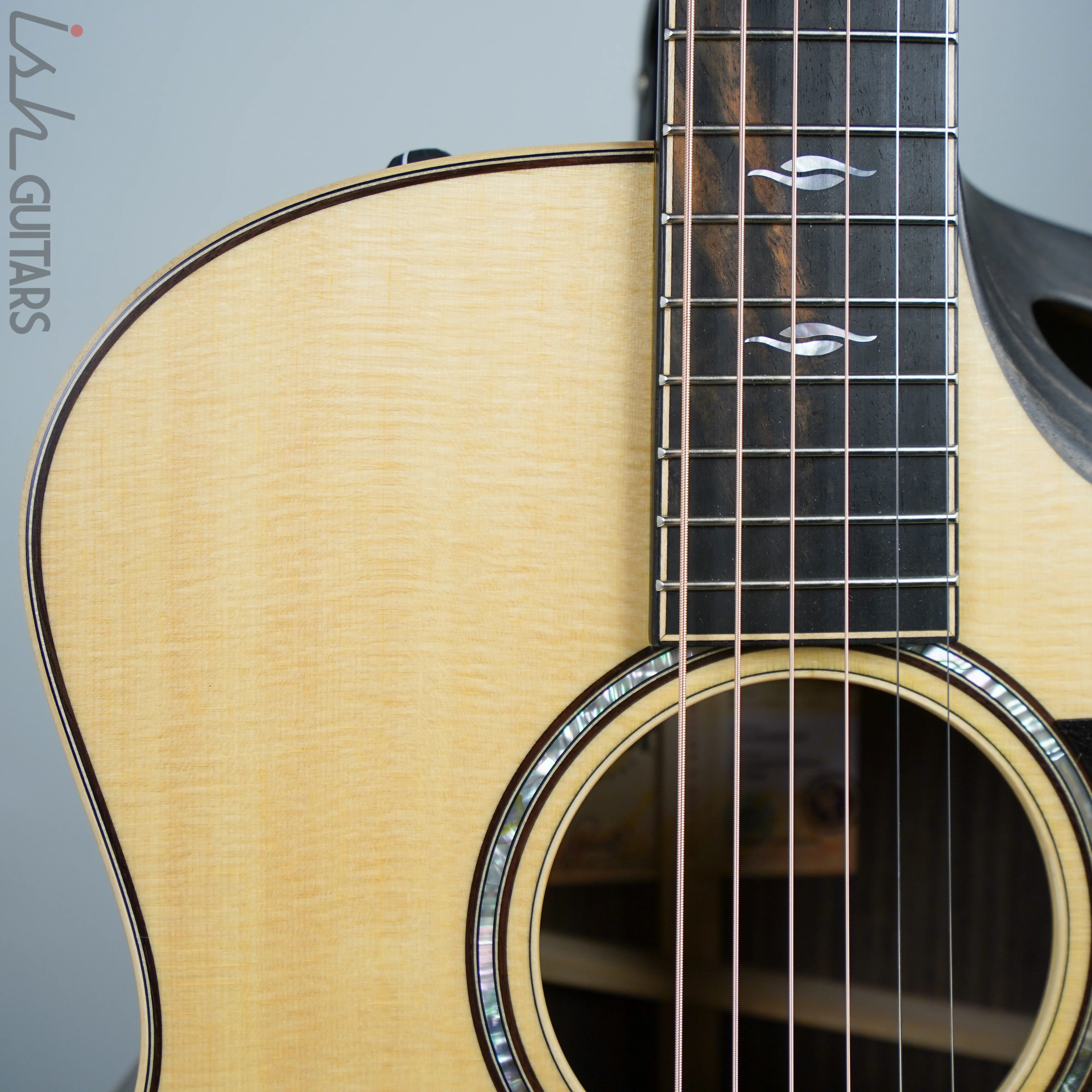 Taylor Builder’s Edition 816ce - Image 3