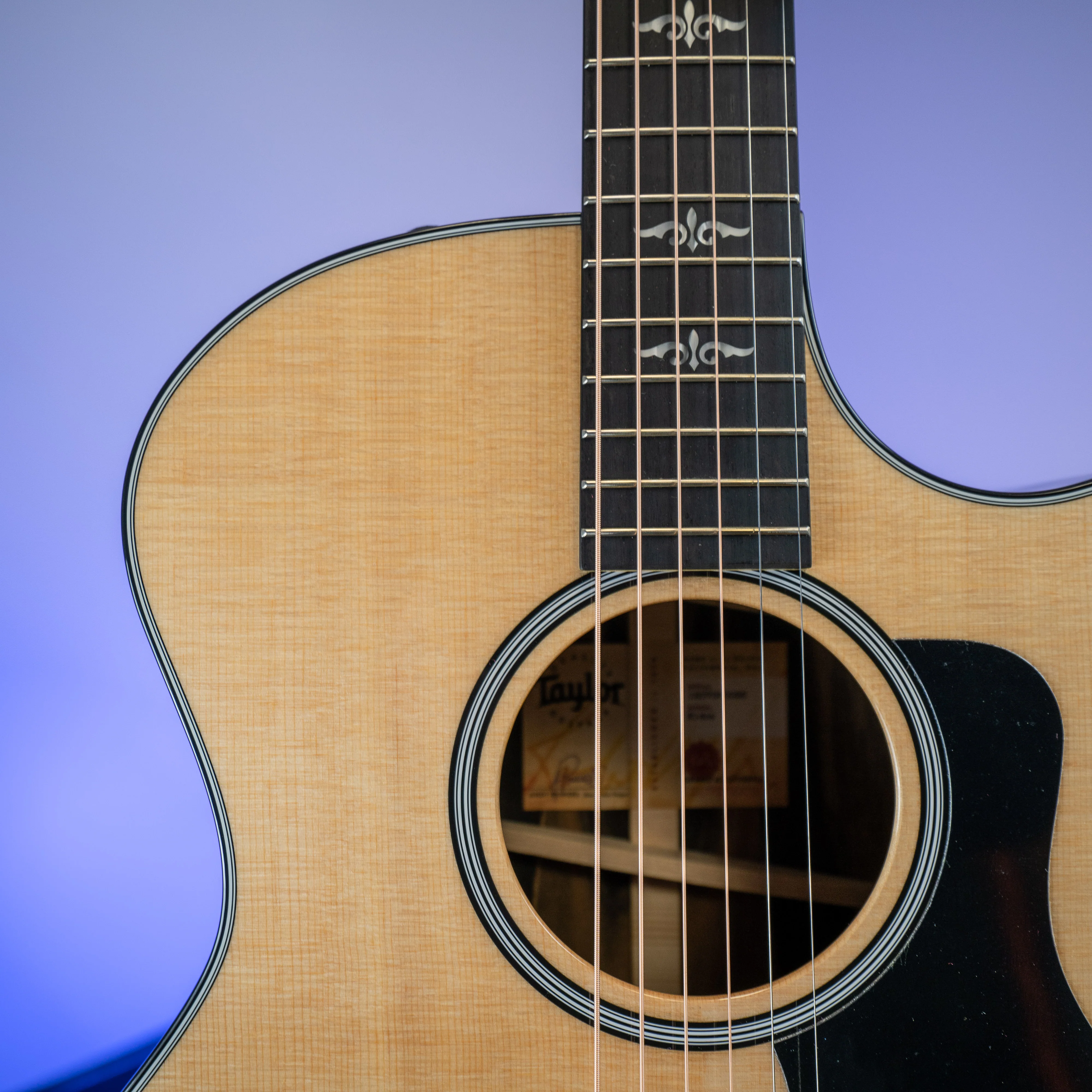 Taylor E14ce LTD Grand Auditorium Spruce/ Striped Ebony - Image 4