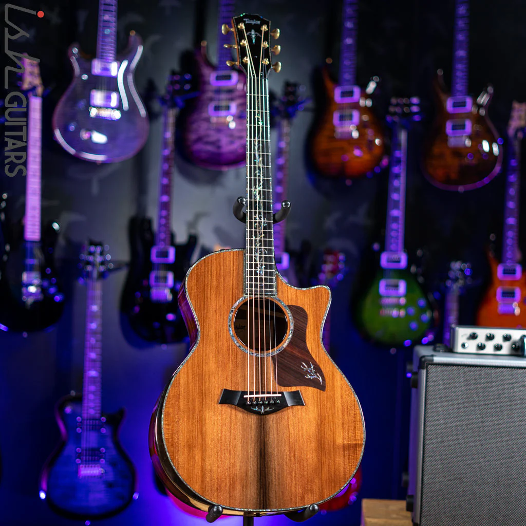 Taylor PS14ce Acoustic-Electric Natural Honduran Rosewood - Image 3