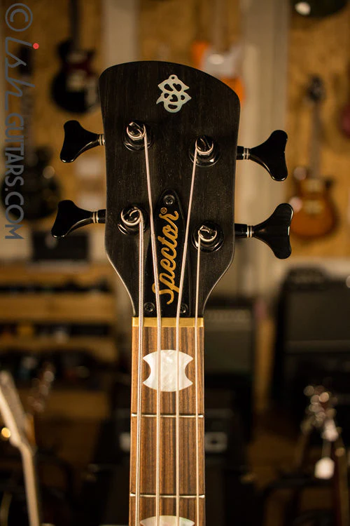 USA Spector NS-4H2 Spalted Maple - Image 6