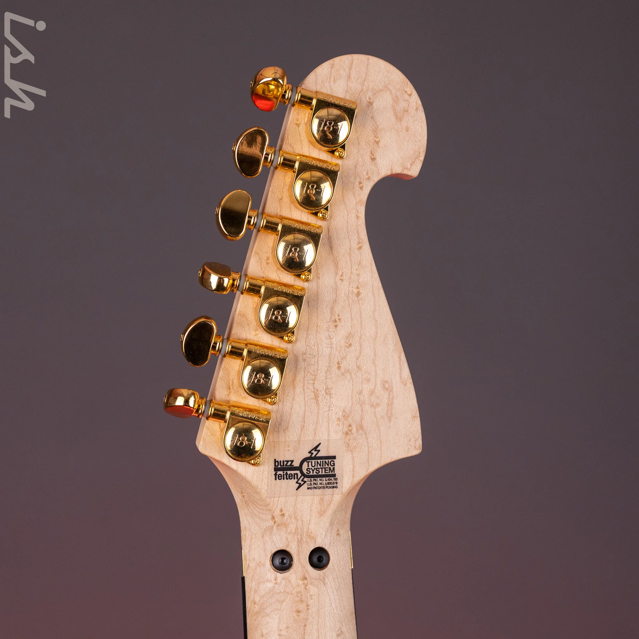Washburn Nuno Bettencourt Signature Model Claro Walnut - Image 11